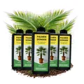 5x 1L Natürlicher Hanfpalmendünger 5L Dünger Palmendünger 5 Liter Flüssigdünger