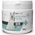 ReaVET Denta Vital Zahnpflege Pulver Hund & Katzen 300g - Zahnsteinentferner, Mittel gegen Zahnstein Hund Katze I Gegen Mundgeruch bei Hunden, Zahnpflege Katzen