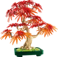 LEGO 10348 - LEGO Botanicals - Japanischer Roter Ahorn