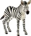 Schleich Zebra Fohlen 14811 NEU