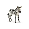 Schleich - 14811 - Zebra Fohlen
