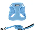 Best Pet Supplies Voyager Step-in Air Allwetter-Mesh-Geschirr und reflektierende Hundeleine, Kombination mit Neopren-Griff, für kleine, mittelgroße und große Hunderassen, Größe XS