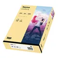 inapa farbiges Druckerpapier, buntes Papier tecno Colors: 120 g/m², A4, 250 Blatt chamois