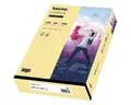 Inapa tecno Druckerpapier Rainbow / tecno Colors, Pastellfarben, Format DIN A4, 120 g/m², 250 Blatt
