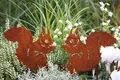 LB H&F Lilienburg 2er Set Gartenstecker Herbst Gartendeko Herbstdeko Rost Deko Edelrost Roststecker Metall (Eichhörnchen Set)