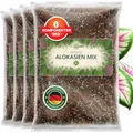 ORAGARDEN Alocasien Erde für Zimmerpflanzen und Garten - 12L Alokasien Substrat für Pflanzen, Palmen, Blumen - 6 Komponenten Blumenerde