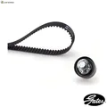ZAHNRIEMENSATZ K015571XS FÜR METROCAB FORD TRANSIT/Platform/Chassis/TOURNEO 2.5L