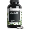 natural elements Vitamin B5 – 240 Kapseln - hochdosierte 500 mg Pantothensäure