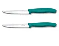 2er Set Victorinox Steakmesser Pizzamesser Küchenmesser Grill 11 cm BBQ GRÜN