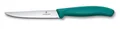 Victorinox Schweiz Steakmesser Pizzamesser Küchenmesser Grill 11 cm BBQ GRÜN