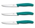 3er Set Victorinox Steakmesser Pizzamesser Küchenmesser Grill 11 cm BBQ GRÜN