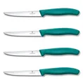 4er Set Victorinox Steakmesser Pizzamesser Küchenmesser Grill 11 cm BBQ GRÜN