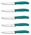 5er Set Victorinox Steakmesser Pizzamesser Küchenmesser Grill 11 cm BBQ GRÜN