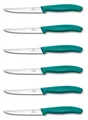 6er Set Victorinox Steakmesser Pizzamesser Küchenmesser Grill 11 cmBBQ GRÜN