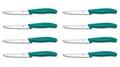 8er Set Victorinox Steakmesser Pizzamesser Küchenmesser Grill 11 cm BBQ GRÜN