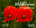 Wildblumen 2025 Großformat-Kalender 58 x 45,5 cm Wildflowers 2025 Verlag 14 S.