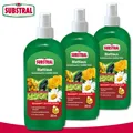 Blattlaus 3 x 300 ml Schädlingsfrei Careo Eco AF Pflanzengesundheit