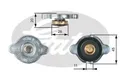 Kühlerbehälterdeckel RC133 GATES für FORD FORD USA HONDA HYUNDAI KIA MAZDA OPEL