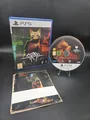 Stray (Sony PlayStation 5)