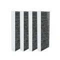 AllSpares Aktivkohlefilter (2 St.) BAKFS für Bora Basic, BHU, BIU, BFIU, GP4 | 338x123x42 mm