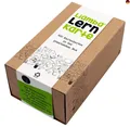 Liamba Lernkarte 500 Karteikarten in der praktischen Lernbox, DIN A8 Format,