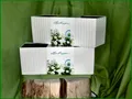 2x(a 39,95€/St.) Pflanzgefäße Lechuza BALCONERA Cottage 80 weiss Komplettsets