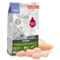 PLATINUM - Hundenahrung Puppy Chicken aus Fleischsaftgarung - 5kg Hundefutter trocken nährstoffreich wie Barf - besonders schmackhaftes Hundetrockenfutter für Welpen und Junghunde - in DE geprüft