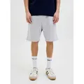 Jack & Jones Sweatshorts JPSTGORDON mit elastischem Bund unifarben, modisch, regular fit, Webstoff grau XXL