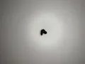 Sony INZONE Buds - NUR LINKER KOPFHÖRER - PC PS5