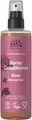 Urtekram Rose Spray Conditioner 250 ml x 3 (Pack von 3)