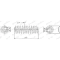 1x ORIGINAL® Monroe Fahrwerksfeder Vorne für VW GOLF V GOLF PLUS V GOLF VI
