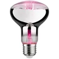 Paulmann Led Grow Green Pflanzenlampe R80 6,5 W E27 Reflektor Leuchtmittel