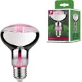 Paulmann Grow Green Edition Filament 230V LED Reflektor R80 - Silber