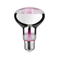 Paulmann LED Grow Green Pflanzenlampe R80 6,5 W E27 Reflektor  Leuchtmittel