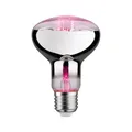 Paulmann LED Grow Green Pflanzenlampe Ø 80 mm, 6,5 W, 200 lm, E27, 1300 K