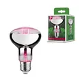 Grow Green Edition Filament 230V LED Reflektor E27 R80 R80 200lm 6,5W 1300K Silb
