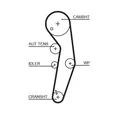1x GATES K055569XS Zahnriemensatz für VW Ford Audi Skoda Seat