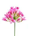 artplants Kunstblume Agapanthus OMOLON, rosa, 75cm