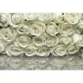 KOMAR Papiertapete "A la Rose", Breite: 368 cm, inkl. Kleister - bunt