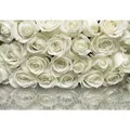 Xora Fototapete, Mehrfarbig, Rose, 368x254 cm, Fsc, Tapeten & Wandverkleidungen, Fototapeten