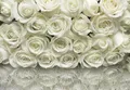 Rose Fototapete Weiß Wandbild Schlafzimmer Wand Blumenmuster Bild 368x254cm