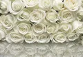 Fototapete KOMAR, A LA ROSE, 8 Teile, BxH 368 x 254 cm