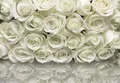 Komar | Papier Fototapete | A la Rose | Größe 368 x 254 cm