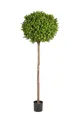 Kunstbaum Künstlicher Buchsbaum - Rayan, 170 cm, aplanta