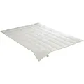 Daunensteppbett Irisette Greenline ultra leicht Größe 135 x 200 cm