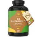 Bio Bockshornklee – 300 Kapseln (650 mg) – Vegan & aktiviert – Hochdosiert: 2600 mg/Tag – Big Pack – Bockshornkleesamen/Fenugreek für die Stillzeit – Hochwertiger Rohstoff aus Ägypten – TRUE NATURE®