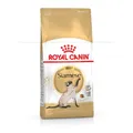 Royal Canin Feline Breed Siamese 38 Adult 2 kg Katzenfutter für Siamkatzen