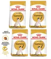 ROYAL CANIN Siamese adult Trockenfutter für Katzen Verdauungsgesundheit 4x2 kg