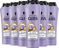 Gliss Blonde Perfector Purple Shampoo (6x 250 ml), Blond Shampoo mit Anti-Gelbstich-Effekt für natürlich blondes und gefärbtes Haar, mit Peptiden & Blaubeer-Extrakt