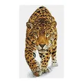 Diamond Dotz Gepard | Kit (Bastelset) | Deutsch (2024) | 2591787 | DIAMOND DOTZ